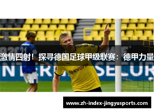 激情四射！探寻德国足球甲级联赛：德甲力量